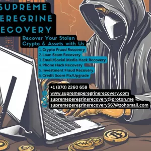 RETRIEVING BACK DIGITAL ASSETS LOST TO FEIGNED PLATFORM MADE POSSIBLE.