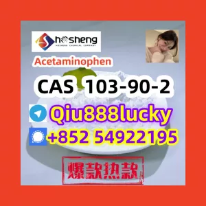 103-90-2 Acetaminophen 22554111