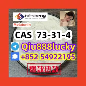 73-31-4 Melatonin 111111111111111111