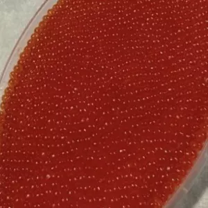 Червона ікра Форелі. Чорна ікра (забійна) Сибірського осетра.