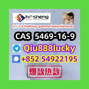 5469-16-9 (+/-)-3-hydroxy-gamma-butyrolactone .......