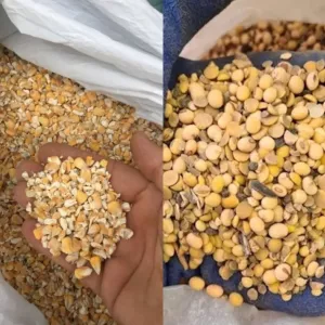 Куплю половинки сої, биту кукурудзу по Україні