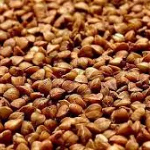 Оптовий продаж гречки