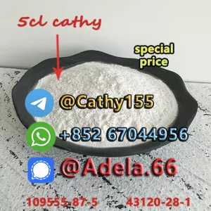 Factory supply Ready to ship Raw Powder CAS 109555-87-5 with Fast Delivery