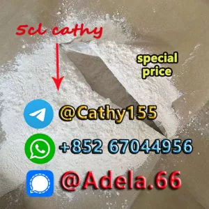 Top Quality CAS 43120-28-1 Good Price 1H-Indazole-3-Carboxylic Acid Methyl Ester with Other Materials Full Set