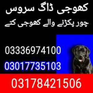 Army dog center fateh jang 03010417477