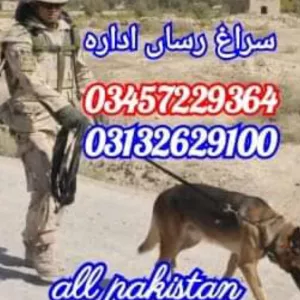 Army dog center rawalpindi 03132629100