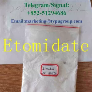 Fast shipping Etonmidate cas:33125-97-2 Telegram/signal:+852-51294686