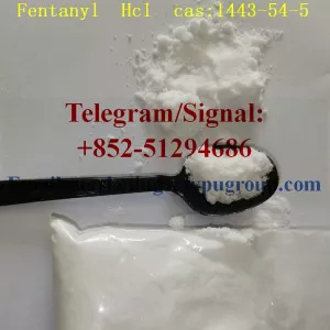 Safe delivery Fentanyl cas:437-38-7