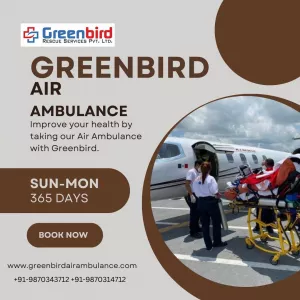 Worried To Save Lives Then Choose Greenbird Air Ambulance Service In Vadodara