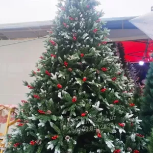 Ёлка 5 метровая. Доставка