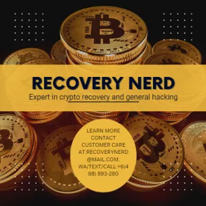 IF YOU WANT TO RECOVER YOUR STOLEN BTC CONTACT RECOVERY NERD