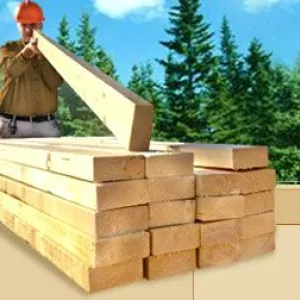 Куплю пиломатеріали (тополя, сосна, вільха, ясен, липа)