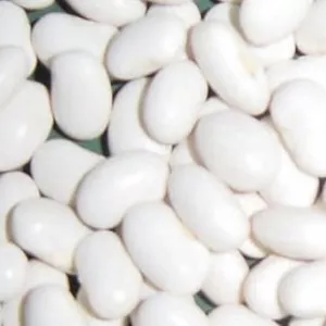 Купуємо квасолю на переробку. Самовивіз по Україні