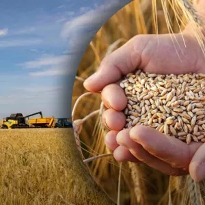 Купуємо зерновідходи, некондицію, прострочений посівмат