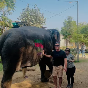 Elephant Sanctuary | Elephant Ride | Elephant Safari | Jaipur
