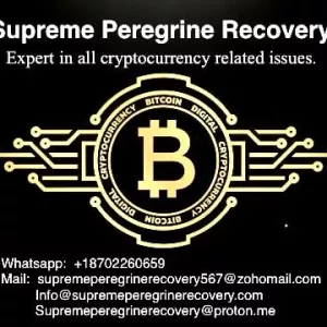 Recover lost financial assets with the help of professionals.