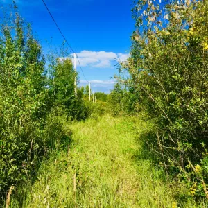 Сдаем в аренду земельный участок 6 гектар под трассу для квадроциклов, и мотоциклов.