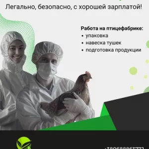 Работа за границей ! Легально, безопасно, с хорошей зарплатой!