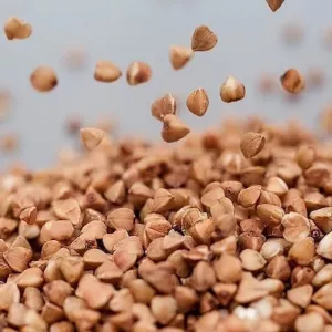 Продається високоякісне зерно гречки.