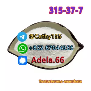 315-37-7  Testosterone enanthate