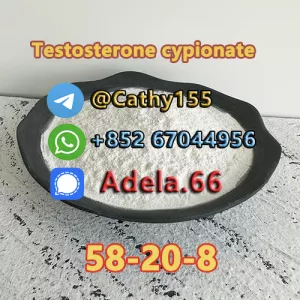 58-20-8  Testosterone cypionate