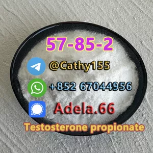 57-85-2  Testosterone propionate