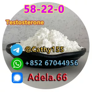 58-22-0  Testosterone
