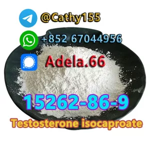 15262-86-9 Testosterone isocaproate
