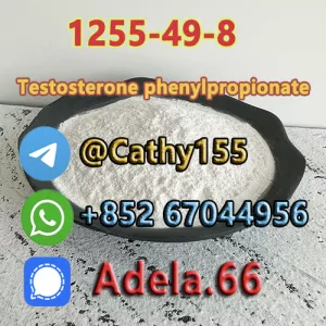1255-49-8  Testosterone phenylpropionate