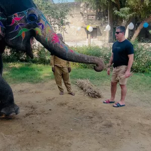 Experience the Best Elephant Ride in Jaipur – Book Now!