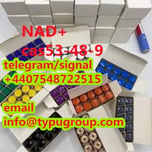 high purity NAD+ cas53-84-9 telegram/signal+4407548722515