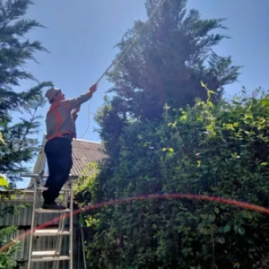 Спил дерева, Одесса услуги сад покос травы , расчистка участков вывоз мусора