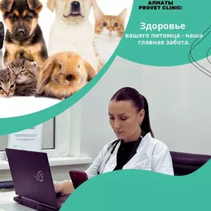 ProVet Clinic в Алматы: Все для здоровья вашего питомца!