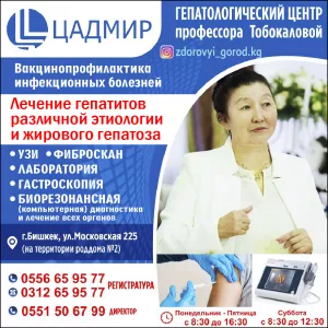 Лечение гепатитов различной этиологии и жирового гепатоза