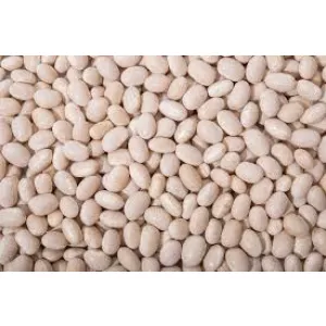 Закуповуємо квасолю для потреб підприємства