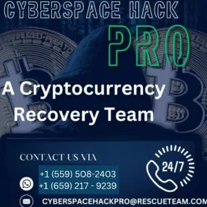 HOW TO RECOVERY BITCOIN FROM FAKE INVESTMENT PLATFORM ONLINE CONTACT CYBER SPACE HACK PRO