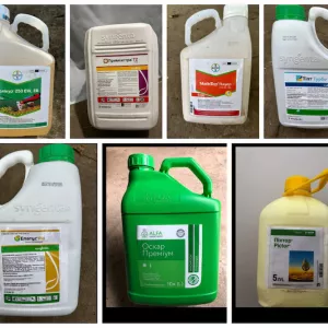 Фунгіциди та гербіциди