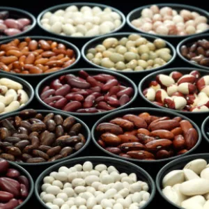 Квасоля в асортименті (більше 20 сортів)
