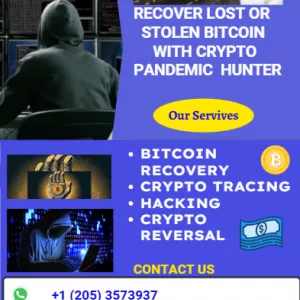 RETRIEVE SCAMMED AND LOST DIGITAL ASSETS // CRYPTO PANDEMIC HUNTER