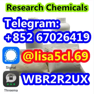 Best Price Cas 119276-01-6 Protonitazene (hydrochloride)