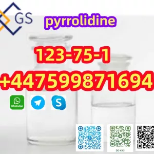 123-75-1, Factory Supply Worldwide Selling Pyrrolidine 99% Purity 100% Safe Customs