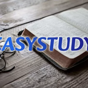 Заказать магистерскую работу в Украине EasyStudy Company
