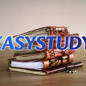 Заказать исследовательское предложение в Украине