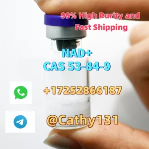 Hot Sell NAD+ Peptide with high purity