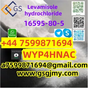 Factory Supply Worldwide Selling Levamisole Hydrochloride, 16595-80-5