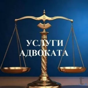 Адвокат Московская область