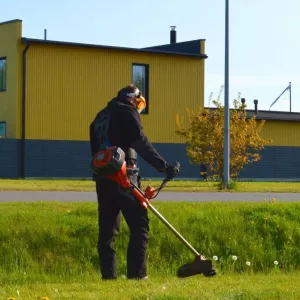 Покос травы, вырубка кустарников, спиливание ненужных деревьев уборка территории