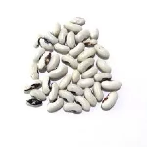 Посівмат квасолі. Насіння квасолі. В асортименті