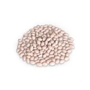 Купуємо оптом різні сорти квасолі для консервування